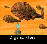 Organic Fliers